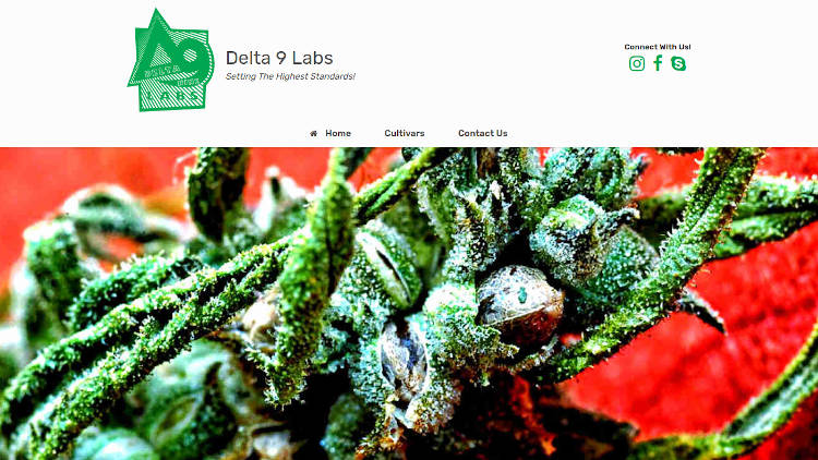 delta9Labs.com website